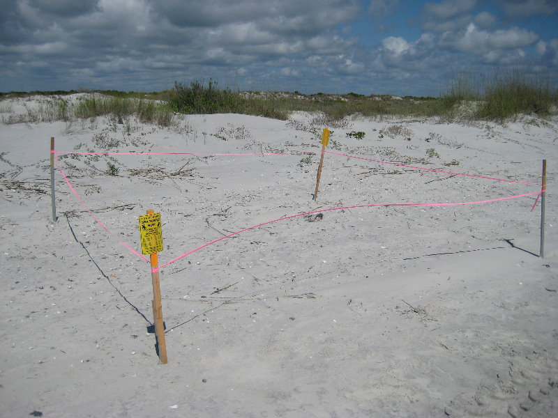 Little-Talbot-Island-State-Park-Jacksonville-FL-026