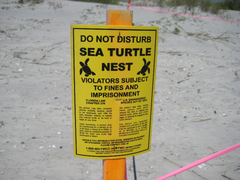 Little-Talbot-Island-State-Park-Jacksonville-FL-027