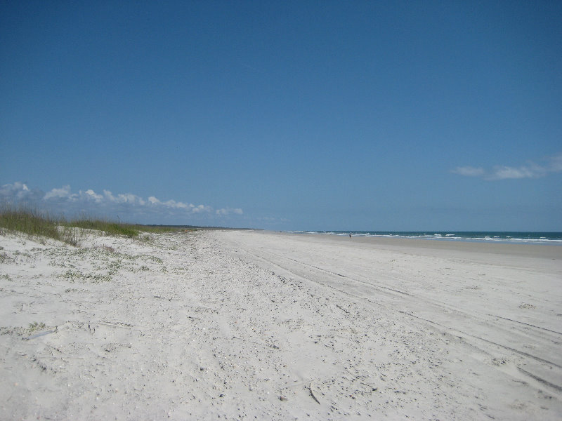 Little-Talbot-Island-State-Park-Jacksonville-FL-028
