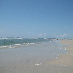 Little Talbot Island State Park - Jacksonville, FL