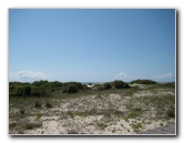 Little-Talbot-Island-State-Park-Jacksonville-FL-005