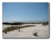 Little-Talbot-Island-State-Park-Jacksonville-FL-008