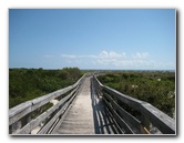 Little-Talbot-Island-State-Park-Jacksonville-FL-009