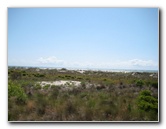 Little-Talbot-Island-State-Park-Jacksonville-FL-010
