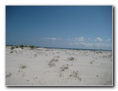 Little-Talbot-Island-State-Park-Jacksonville-FL-014