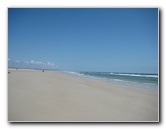 Little-Talbot-Island-State-Park-Jacksonville-FL-018