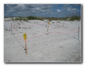 Little-Talbot-Island-State-Park-Jacksonville-FL-026