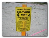 Little-Talbot-Island-State-Park-Jacksonville-FL-027