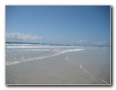 Little-Talbot-Island-State-Park-Jacksonville-FL-030