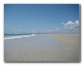 Little-Talbot-Island-State-Park-Jacksonville-FL-031