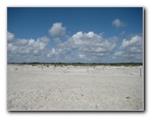Little-Talbot-Island-State-Park-Jacksonville-FL-033