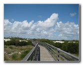 Little-Talbot-Island-State-Park-Jacksonville-FL-035