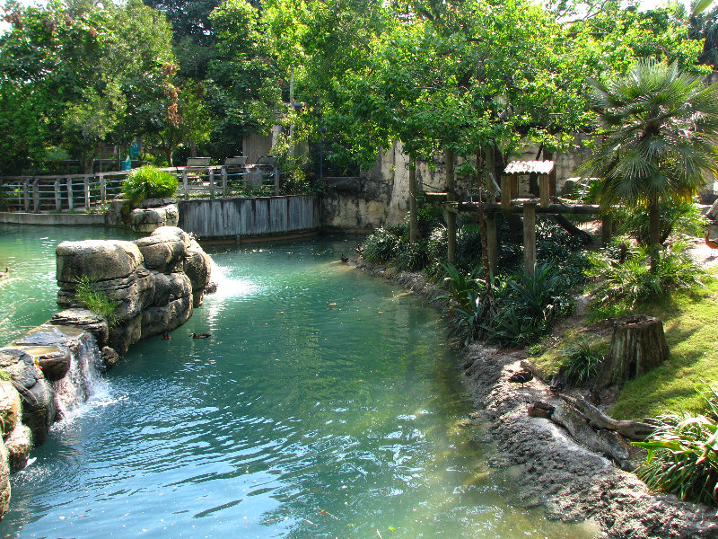 Lowry-Park-Zoo-Tampa-FL-040