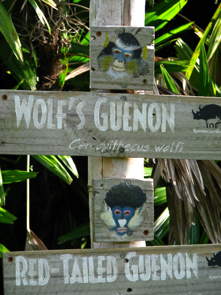 Lowry-Park-Zoo-Tampa-FL-049