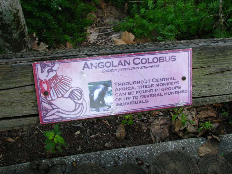 Lowry-Park-Zoo-Tampa-FL-064