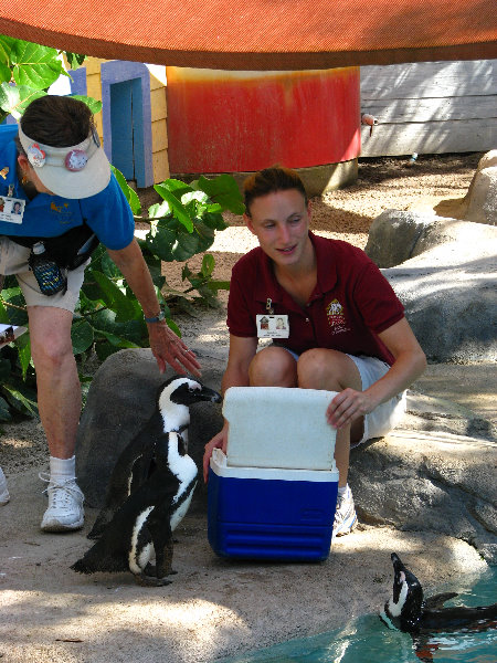 Lowry-Park-Zoo-Tampa-FL-069