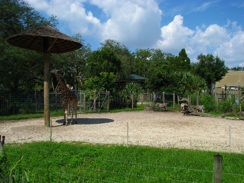 Lowry-Park-Zoo-Tampa-FL-088