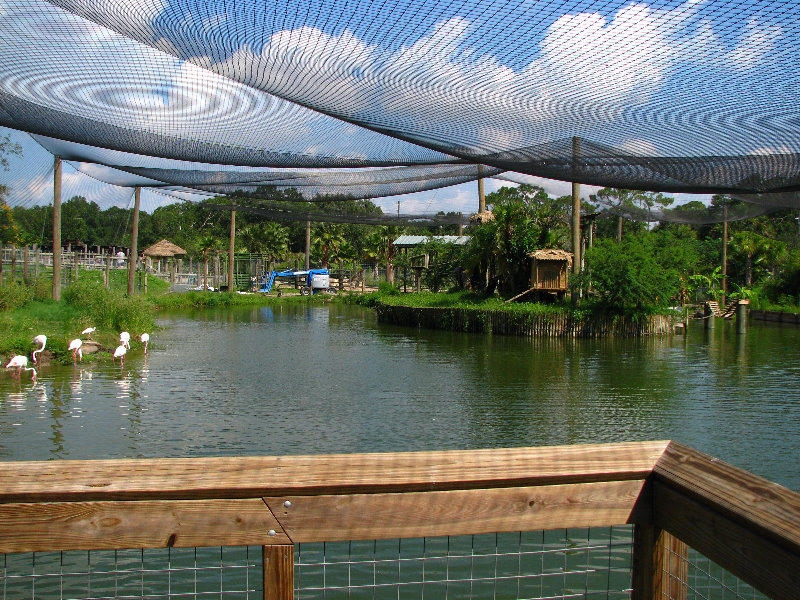 Lowry-Park-Zoo-Tampa-FL-107