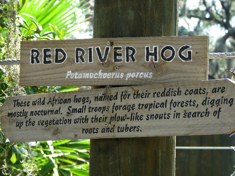 Lowry-Park-Zoo-Tampa-FL-128