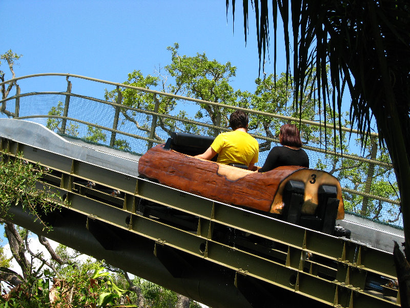 Lowry-Park-Zoo-Tampa-FL-133