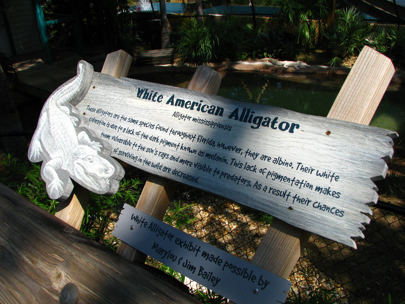 Lowry-Park-Zoo-Tampa-FL-139