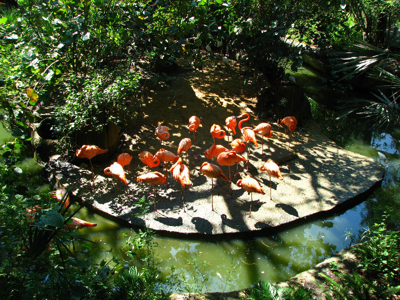 Lowry-Park-Zoo-Tampa-FL-155