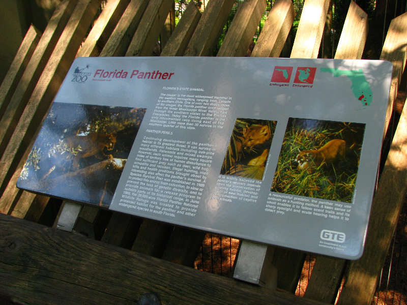 Lowry-Park-Zoo-Tampa-FL-163