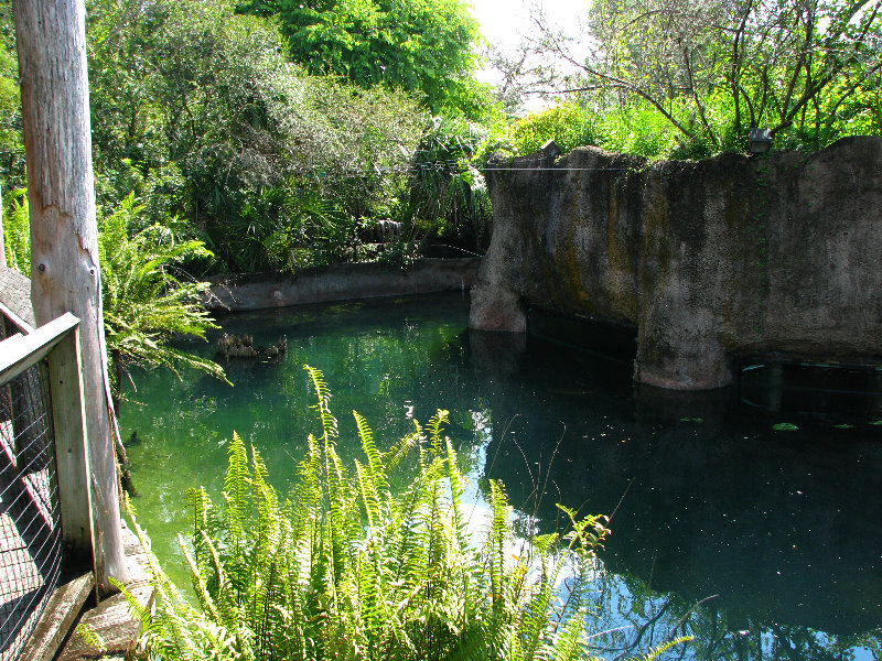 Lowry-Park-Zoo-Tampa-FL-170