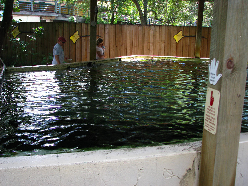 Lowry-Park-Zoo-Tampa-FL-176