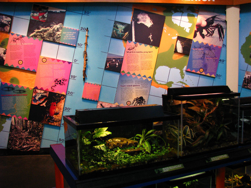 Lowry-Park-Zoo-Tampa-FL-177