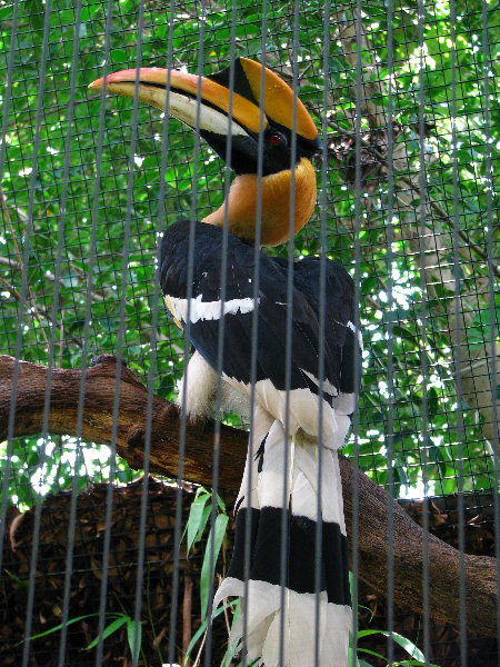 Lowry-Park-Zoo-Tampa-FL-183