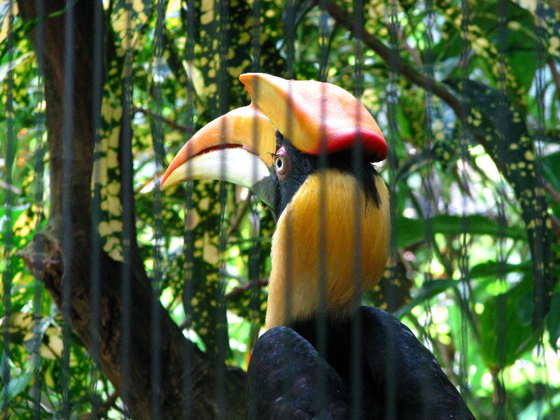 Lowry-Park-Zoo-Tampa-FL-184