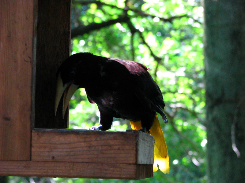 Lowry-Park-Zoo-Tampa-FL-188