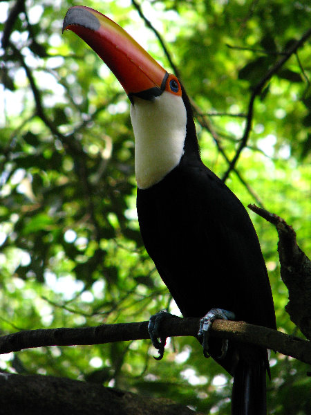 Lowry-Park-Zoo-Tampa-FL-189