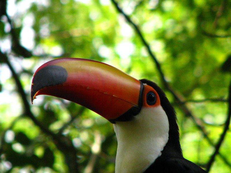 Lowry-Park-Zoo-Tampa-FL-190