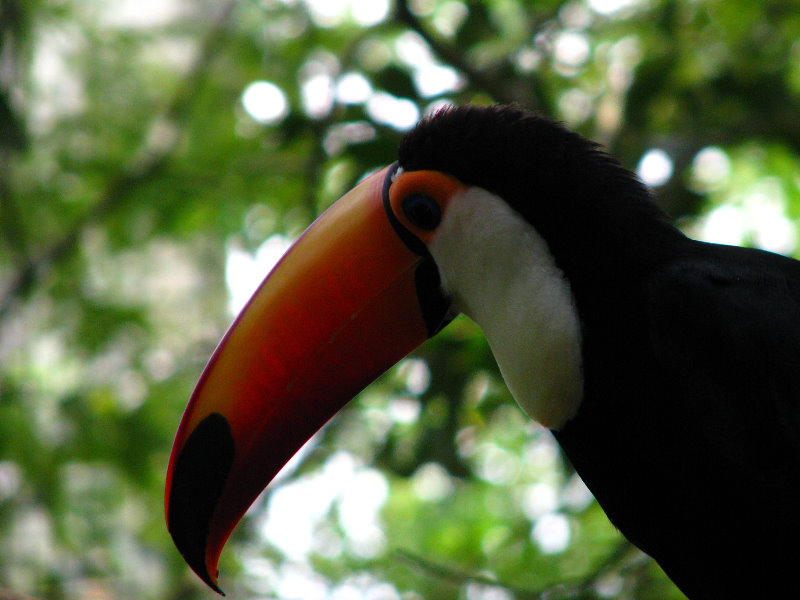 Lowry-Park-Zoo-Tampa-FL-191