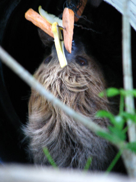 Lowry-Park-Zoo-Tampa-FL-195