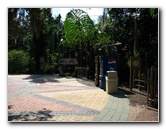 Lowry-Park-Zoo-Tampa-FL-075
