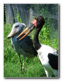 Lowry-Park-Zoo-Tampa-FL-120