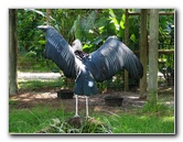 Lowry-Park-Zoo-Tampa-FL-121
