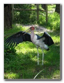 Lowry-Park-Zoo-Tampa-FL-125