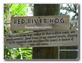 Lowry-Park-Zoo-Tampa-FL-128