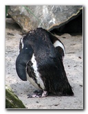 Lowry-Park-Zoo-Tampa-FL-131