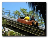 Lowry-Park-Zoo-Tampa-FL-133