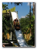 Lowry-Park-Zoo-Tampa-FL-138