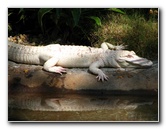 Lowry-Park-Zoo-Tampa-FL-140