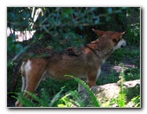 Lowry-Park-Zoo-Tampa-FL-145