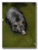 Lowry-Park-Zoo-Tampa-FL-147