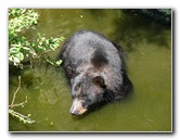 Lowry-Park-Zoo-Tampa-FL-148