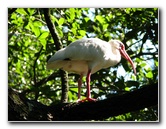 Lowry-Park-Zoo-Tampa-FL-159